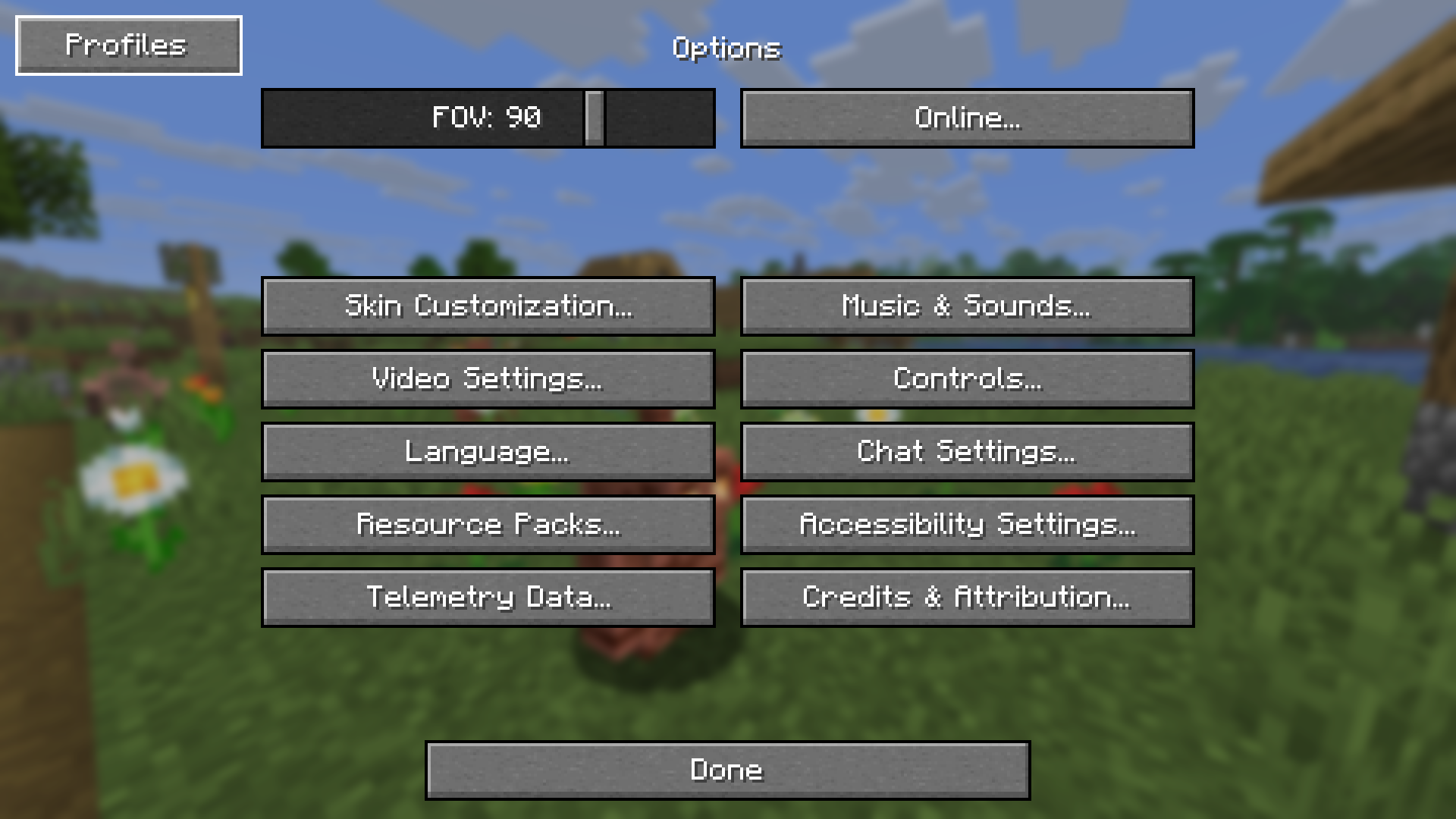 options screen